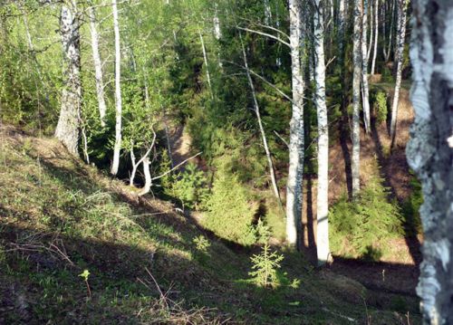 Чёртов овраг в Псковской области