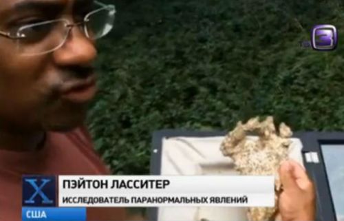Американец едва спасся от снежного человека (видео)