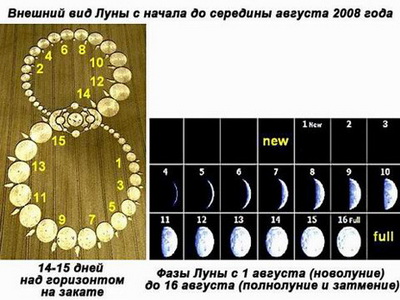 Круги на полях — попытки расшифровки