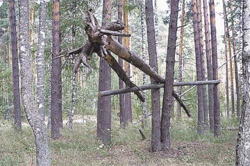 «Человек кровнородственный». На каком языке говорит йети? (фото)