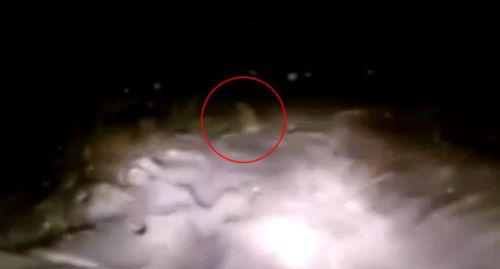 В Башкортостане туристы засняли снежного человека (видео)