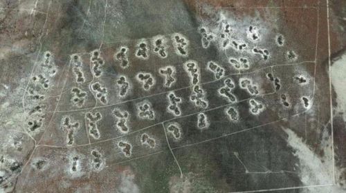 Уфологи нашли следы инопланетян на картах Google